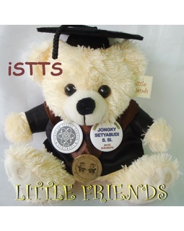 Boneka Wisuda iSTTS Surabaya - Sistem Informasi (25 cm)